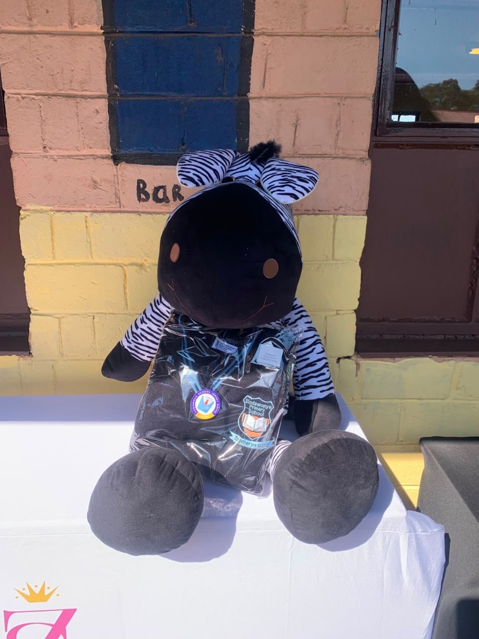 Investec's zebra mascot with a Sindawonye Primary School jersey at the handover